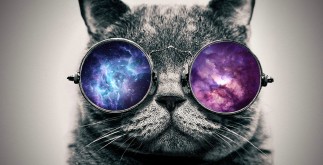 tumblr_static_bqjbocgjyhw0coo84wk4w48w8